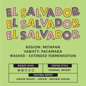 El Salvador - Pacamara